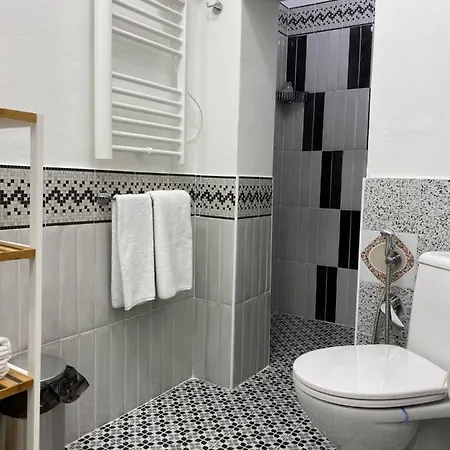 Apartment 8+8 Con Garage Livorno